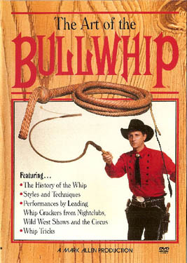 Art of the Bullwhip